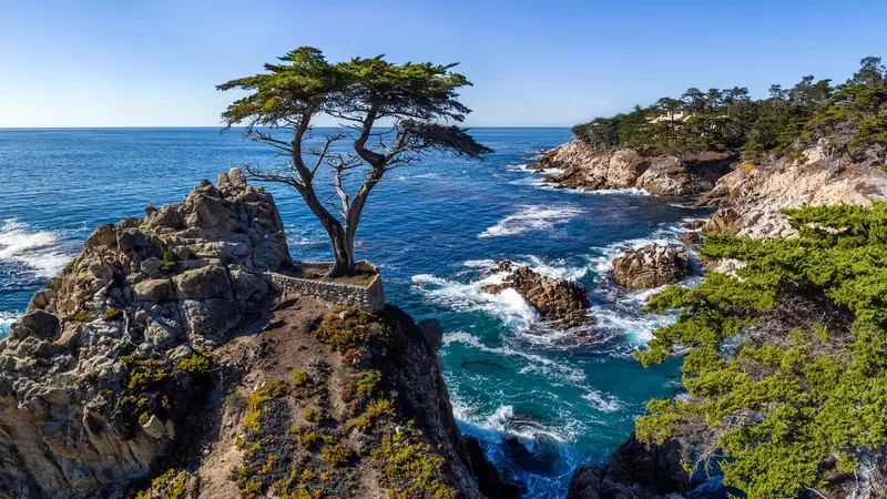 The Lone Cypress on its granite outcrop above the ocean on 17-Mile Drive, Pebble Beach