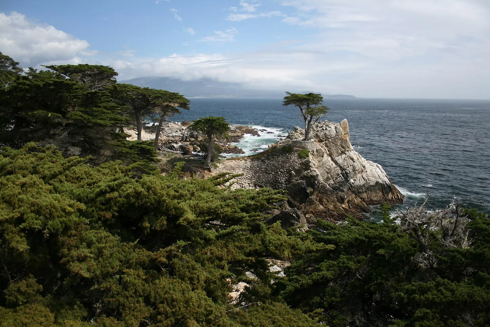 The Lone Cypress and cypress-covered headland on the Pebble Beach coast