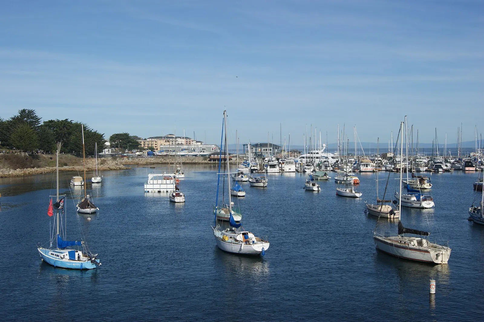 Sailboats moored in Monterey harbor under a blue sky